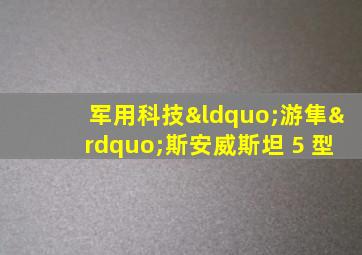 军用科技“游隼”斯安威斯坦 5 型